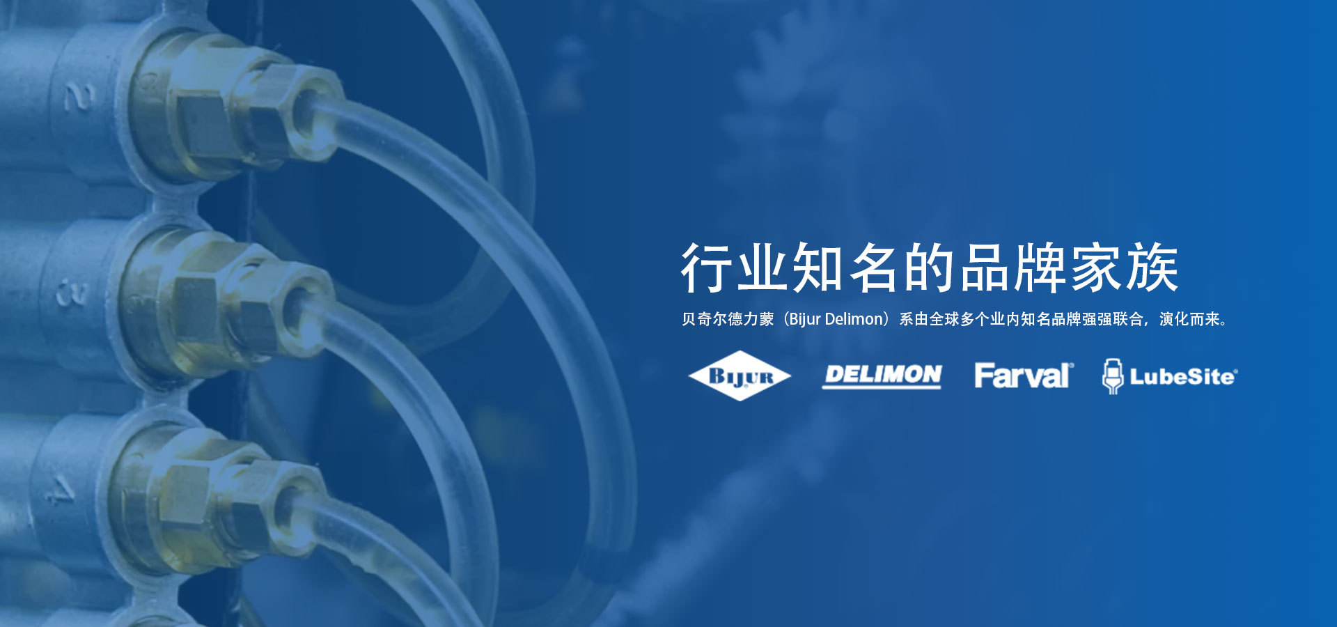 行业领先   品牌家族